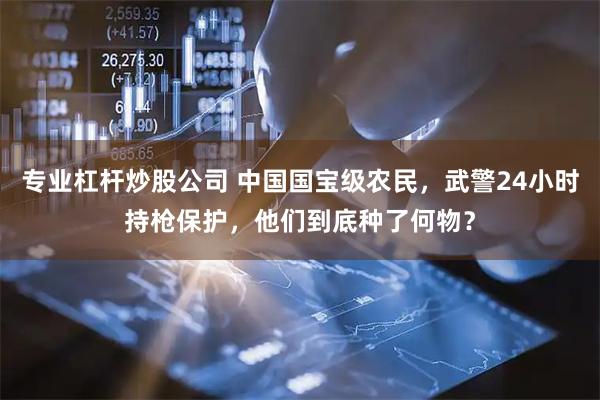 专业杠杆炒股公司 中国国宝级农民，武警24小时持枪保护，他们到底种了何物？