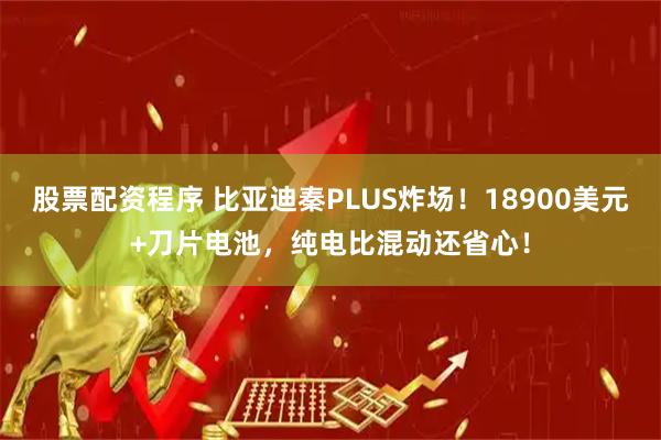 股票配资程序 比亚迪秦PLUS炸场！18900美元+刀片电池，纯电比混动还省心！