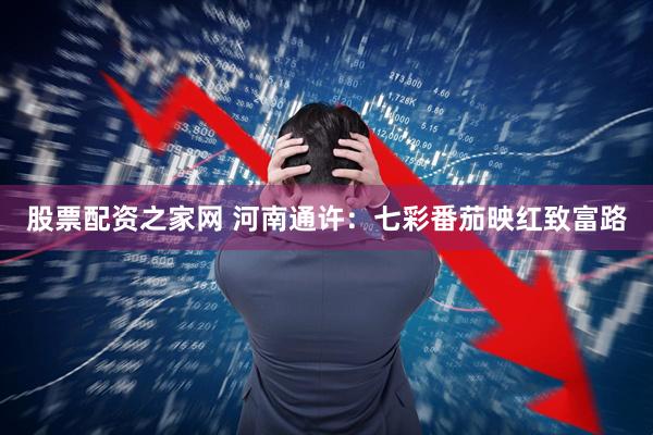 股票配资之家网 河南通许:七彩番茄映红致富路