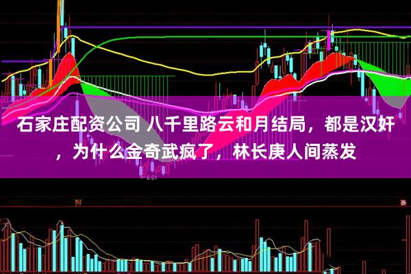 石家庄配资公司 八千里路云和月结局，都是汉奸，为什么金奇武疯了，林长庚人间蒸发
